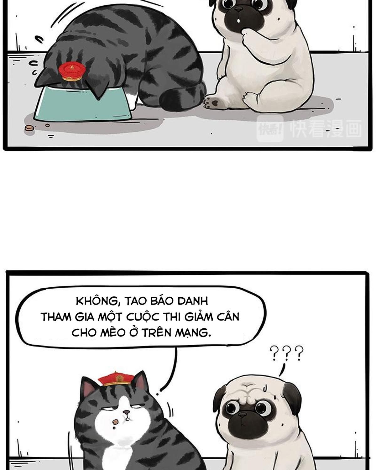 Hoàng Thượng và Ba Trát Hắc: Chapter 233