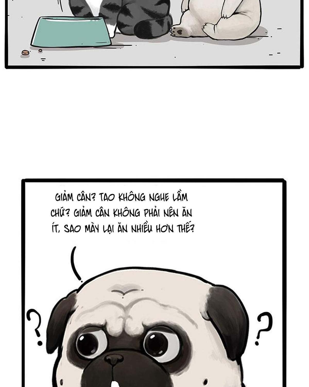 Hoàng Thượng và Ba Trát Hắc: Chapter 233