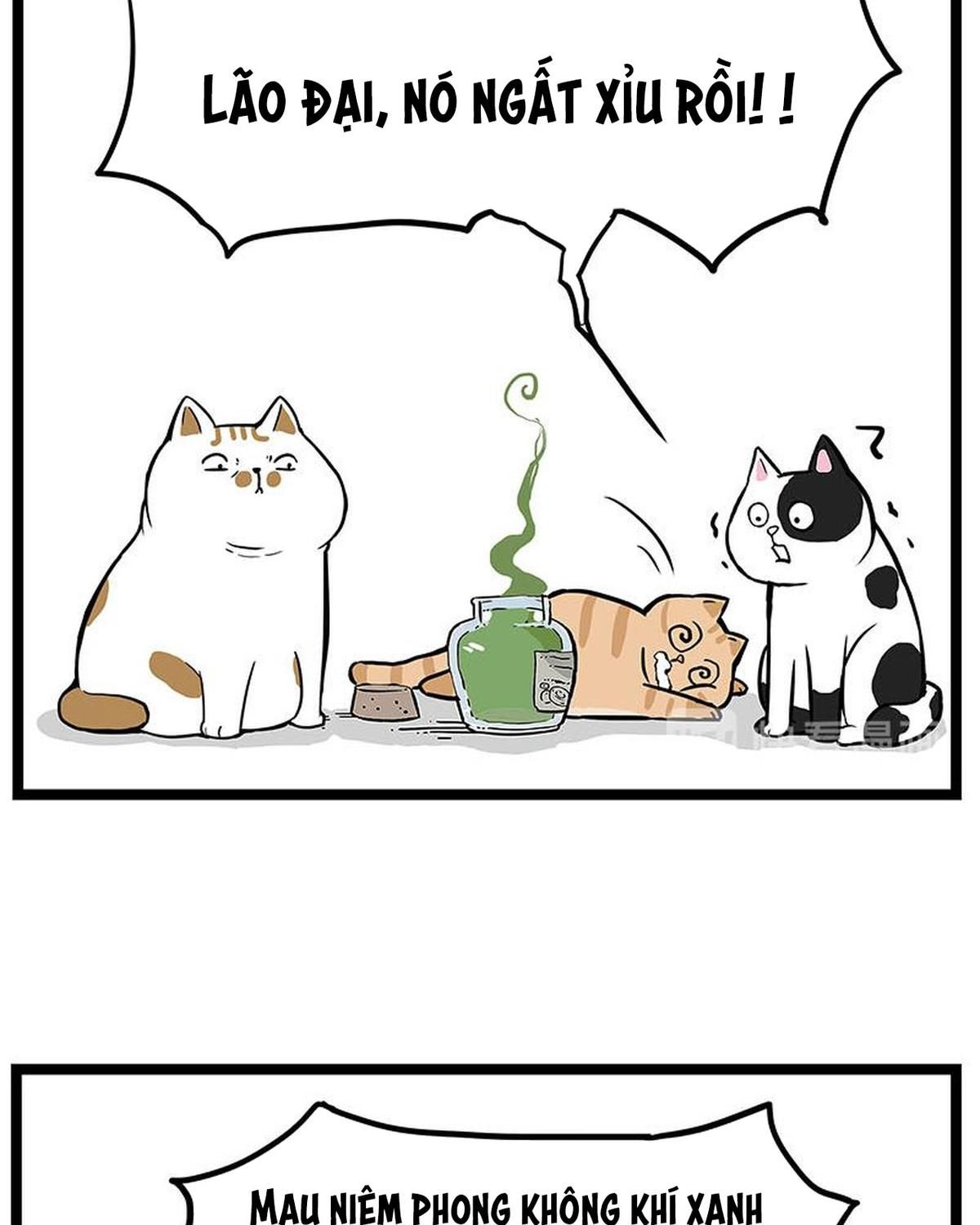 Hoàng Thượng và Ba Trát Hắc: Chapter 239