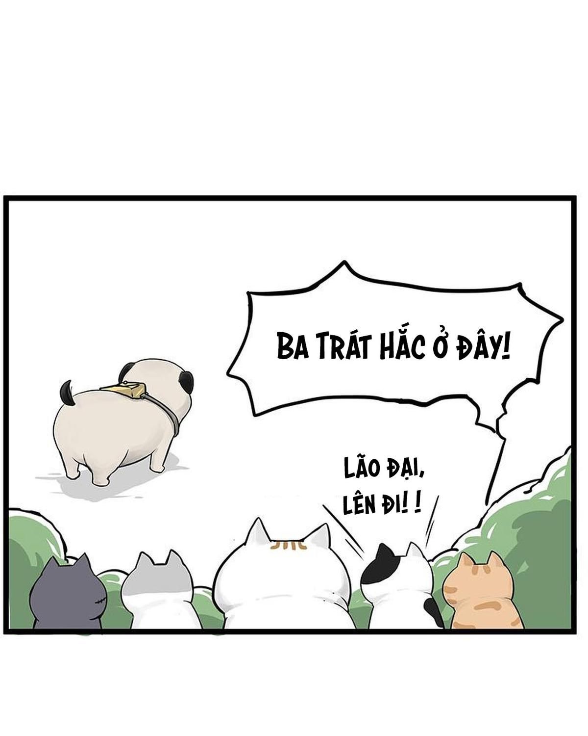 Hoàng Thượng và Ba Trát Hắc: Chapter 239