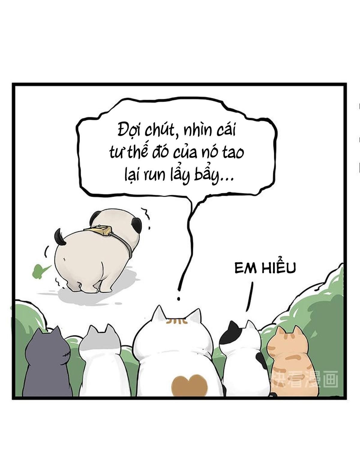 Hoàng Thượng và Ba Trát Hắc: Chapter 239