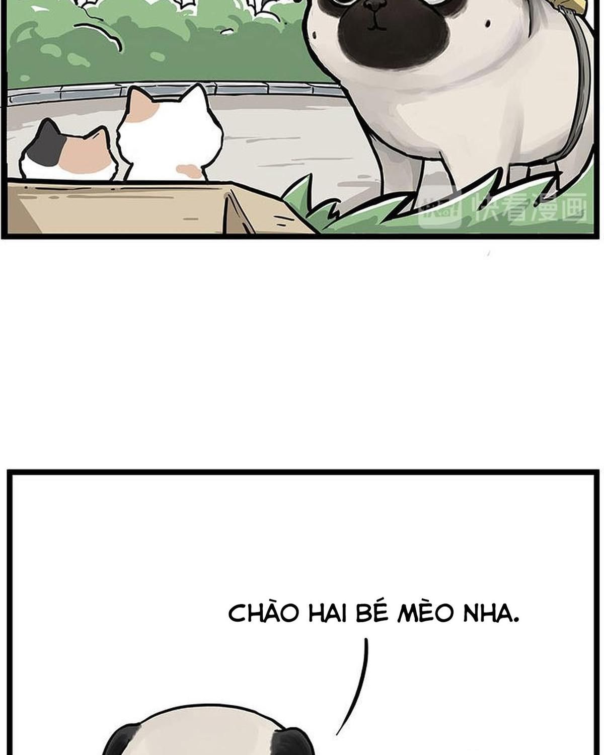 Hoàng Thượng và Ba Trát Hắc: Chapter 239