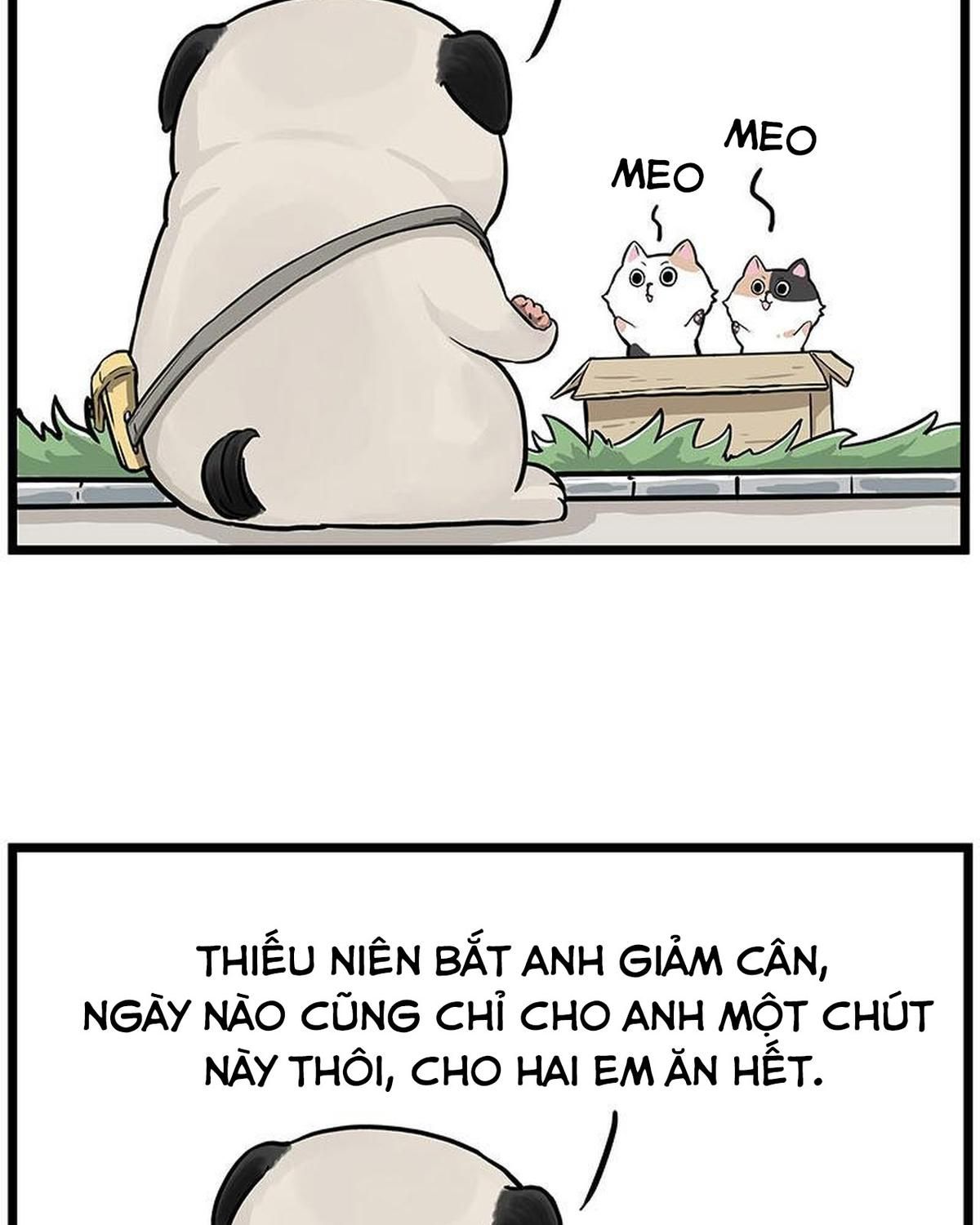 Hoàng Thượng và Ba Trát Hắc: Chapter 239