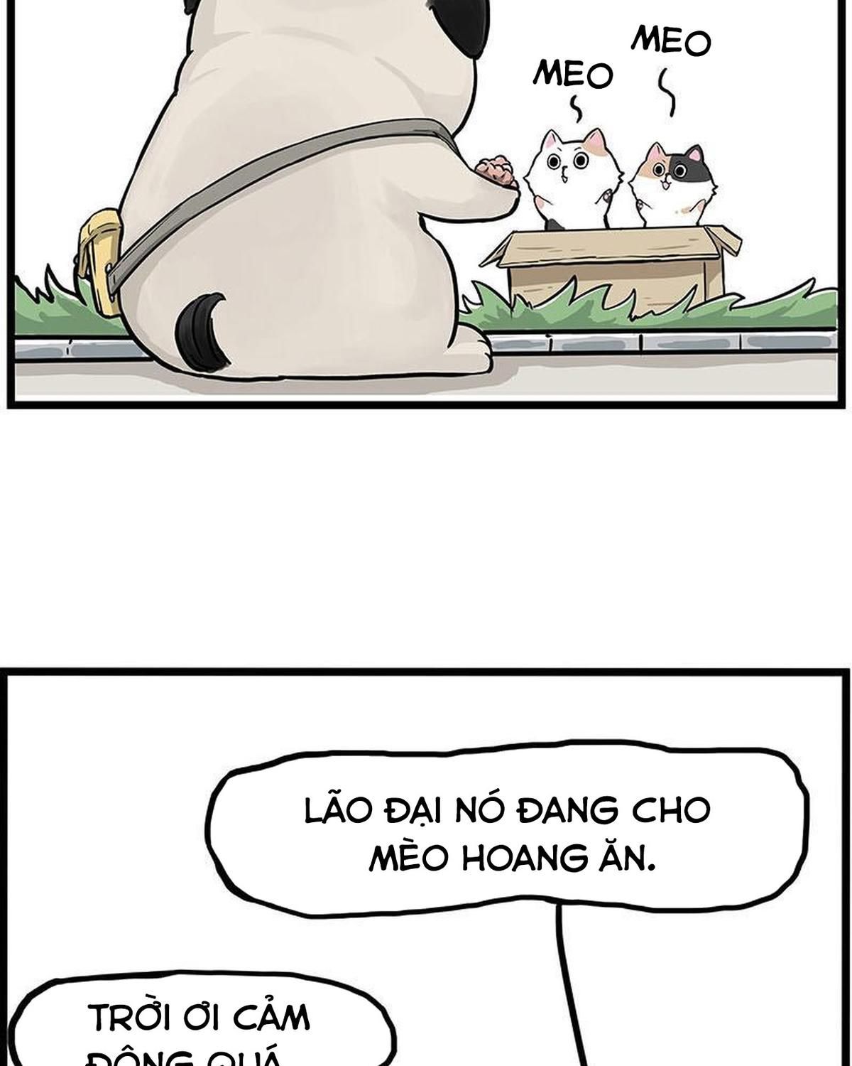 Hoàng Thượng và Ba Trát Hắc: Chapter 239