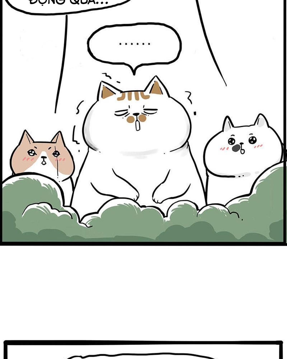 Hoàng Thượng và Ba Trát Hắc: Chapter 239