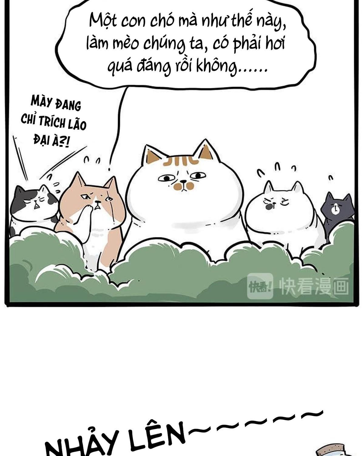 Hoàng Thượng và Ba Trát Hắc: Chapter 239