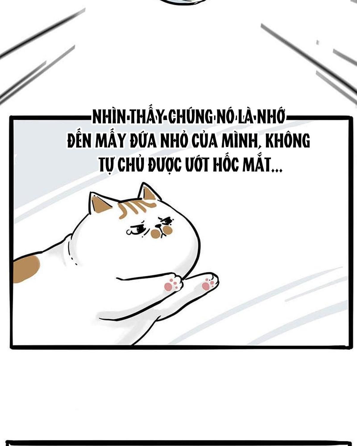 Hoàng Thượng và Ba Trát Hắc: Chapter 239