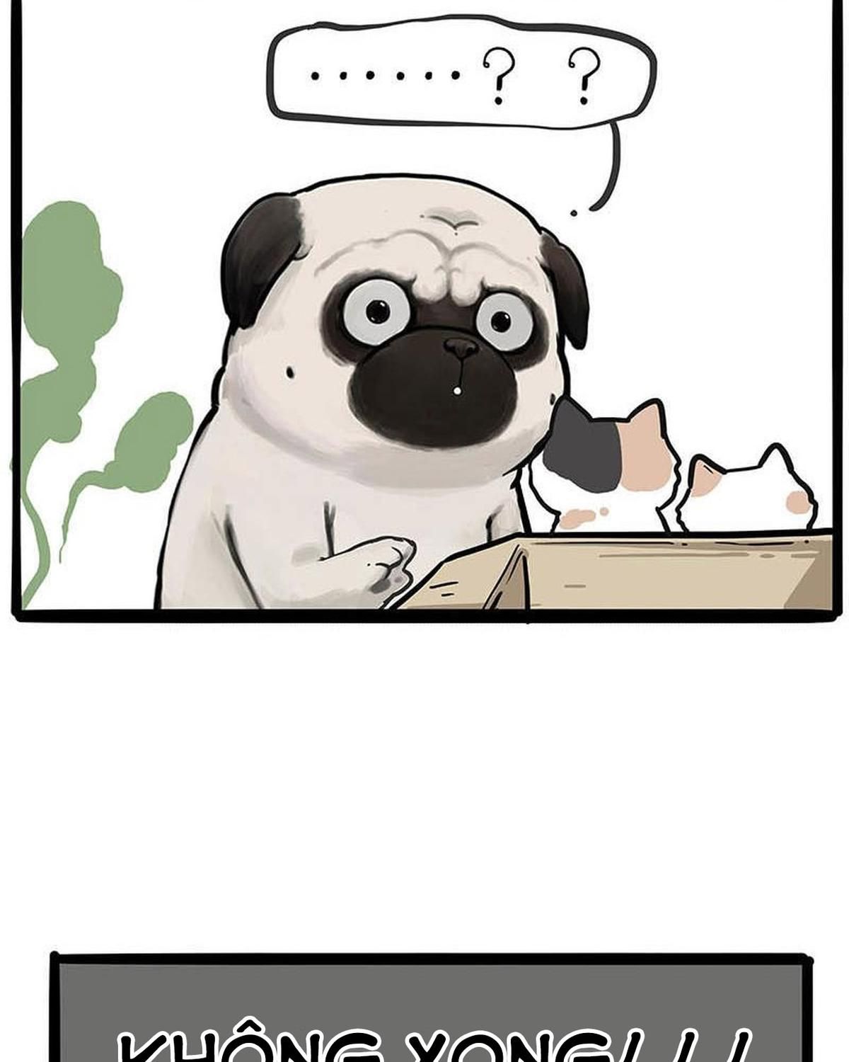 Hoàng Thượng và Ba Trát Hắc: Chapter 239