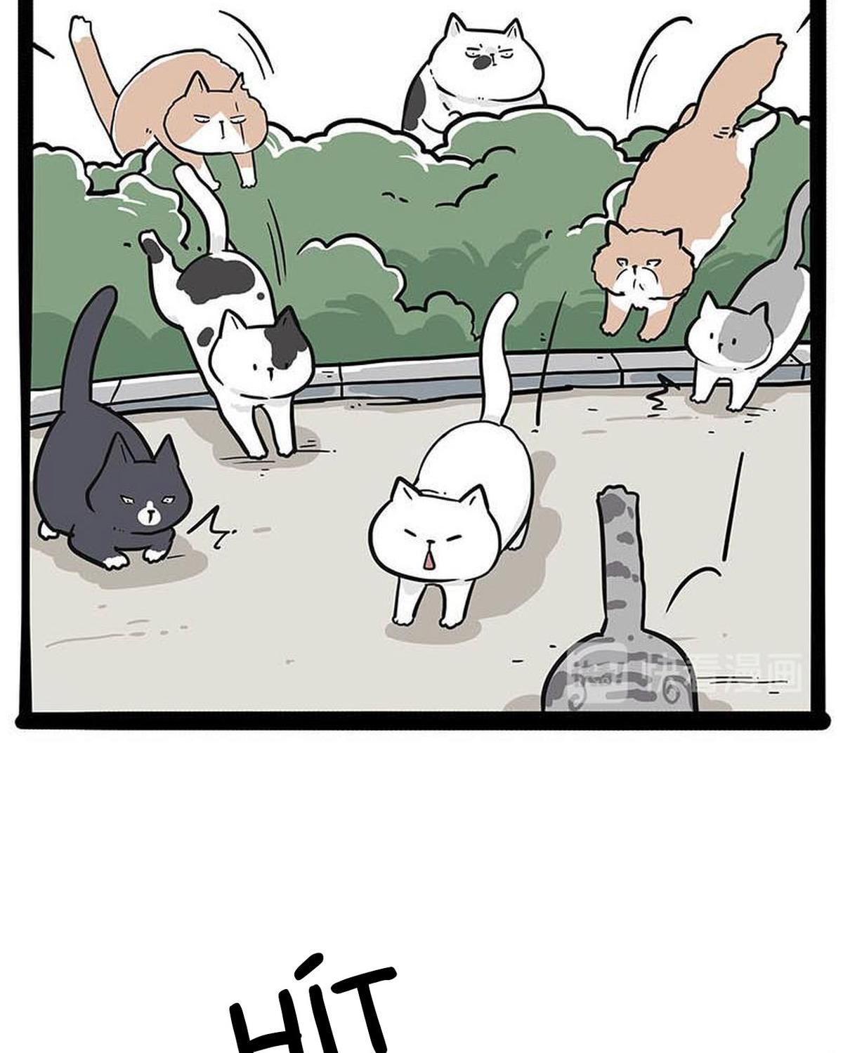 Hoàng Thượng và Ba Trát Hắc: Chapter 239