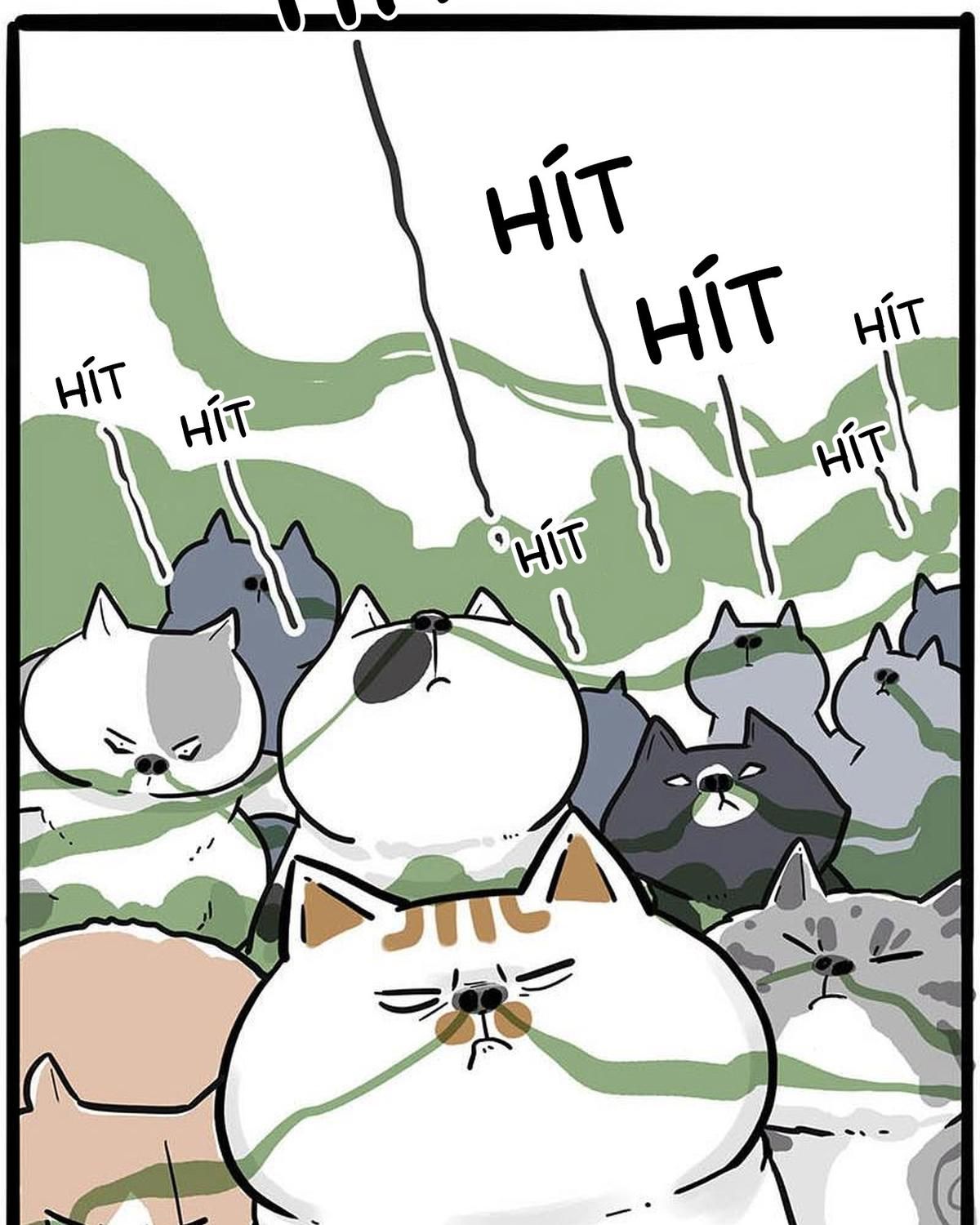 Hoàng Thượng và Ba Trát Hắc: Chapter 239