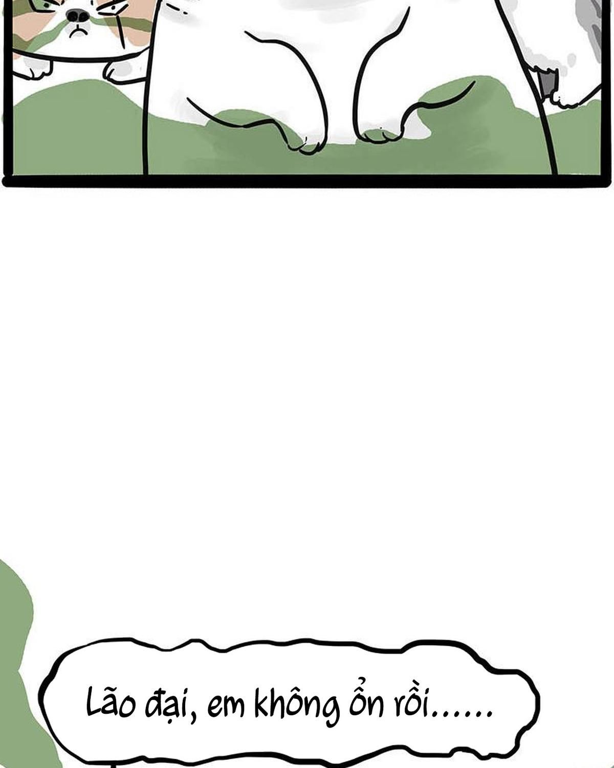 Hoàng Thượng và Ba Trát Hắc: Chapter 239