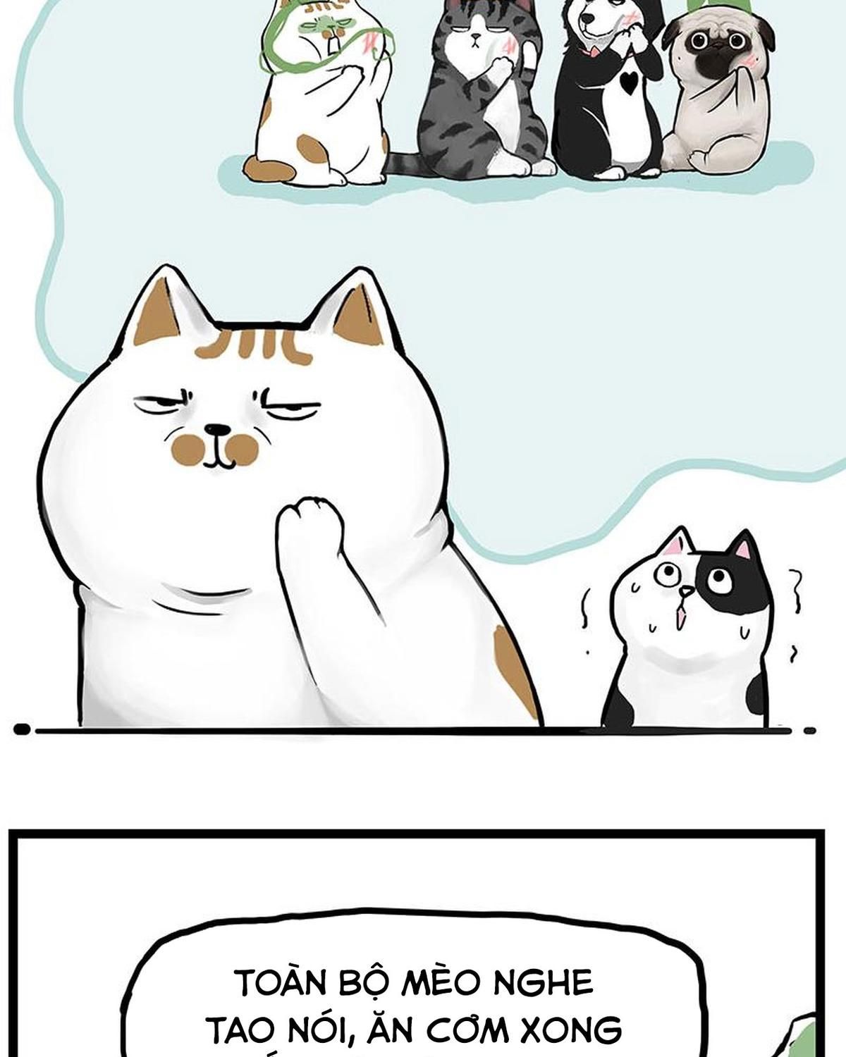 Hoàng Thượng và Ba Trát Hắc: Chapter 239