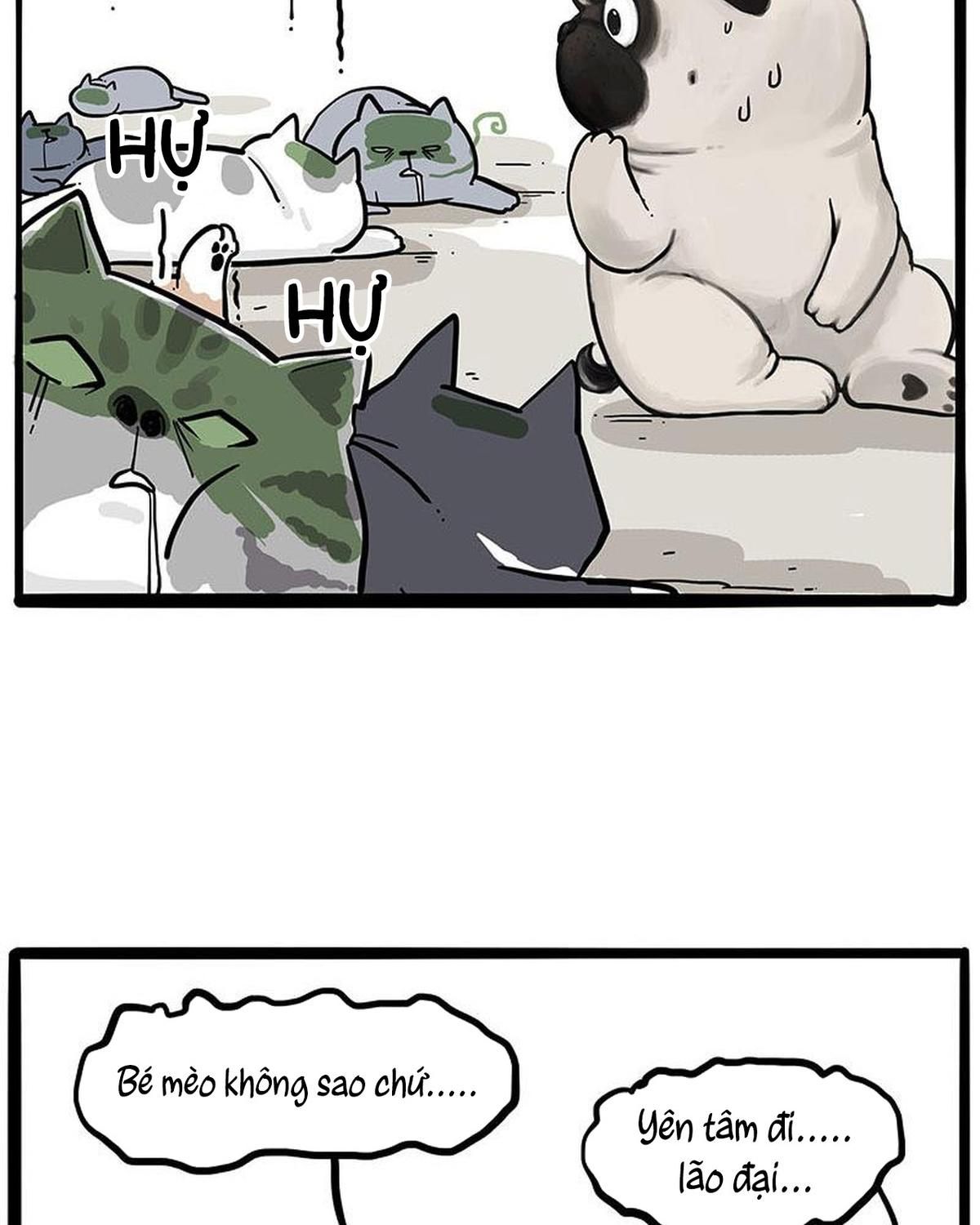 Hoàng Thượng và Ba Trát Hắc: Chapter 239