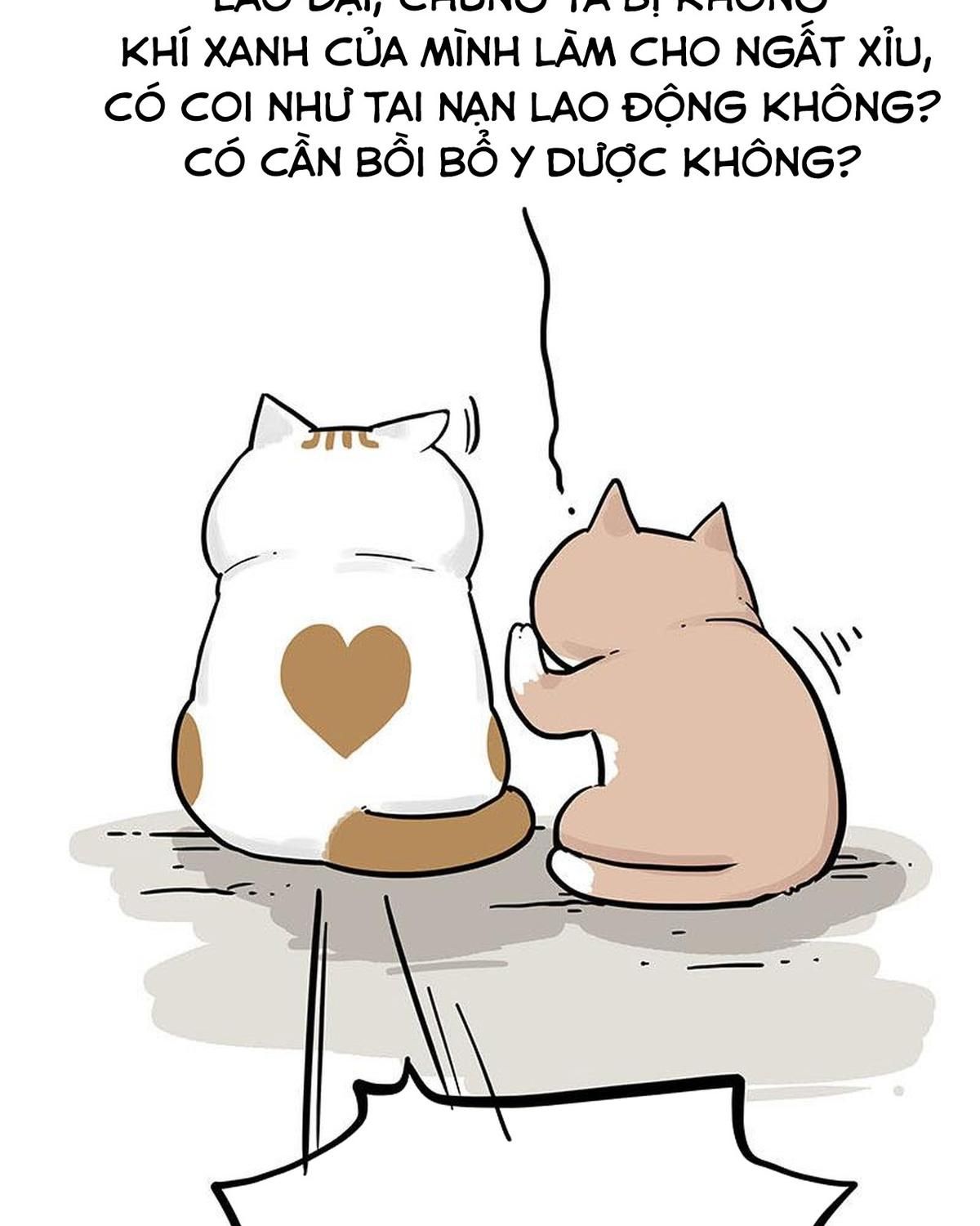 Hoàng Thượng và Ba Trát Hắc: Chapter 239