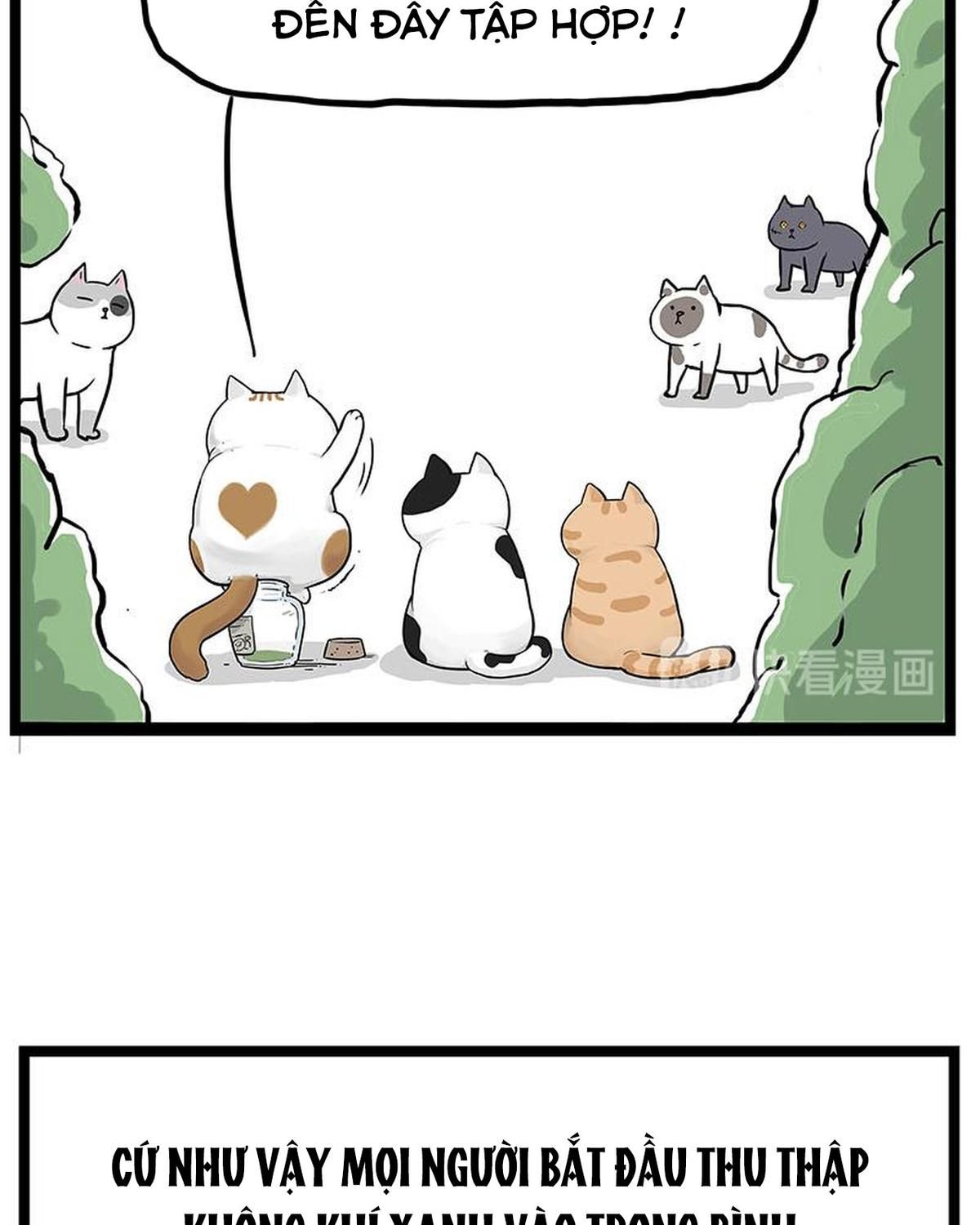 Hoàng Thượng và Ba Trát Hắc: Chapter 239