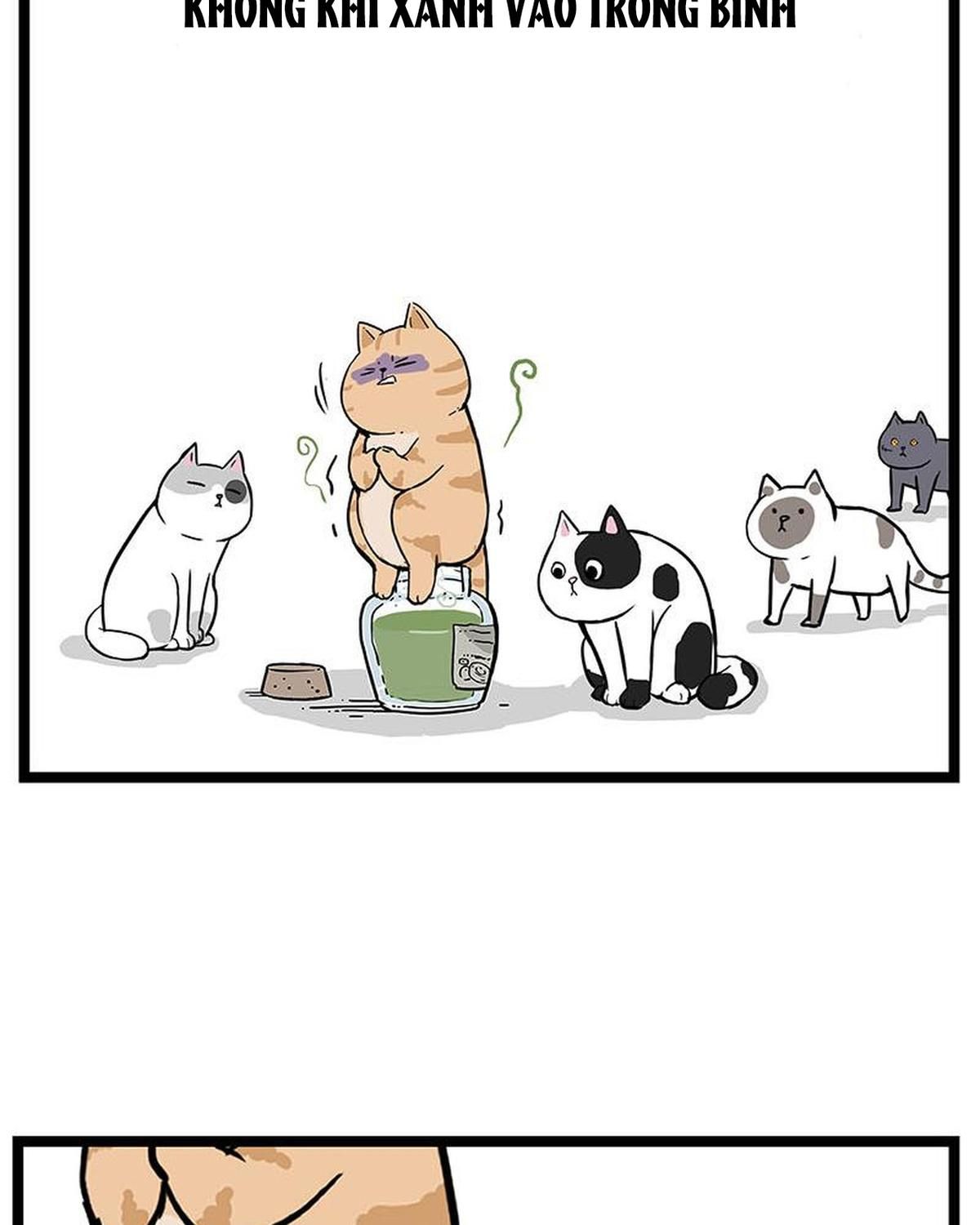 Hoàng Thượng và Ba Trát Hắc: Chapter 239