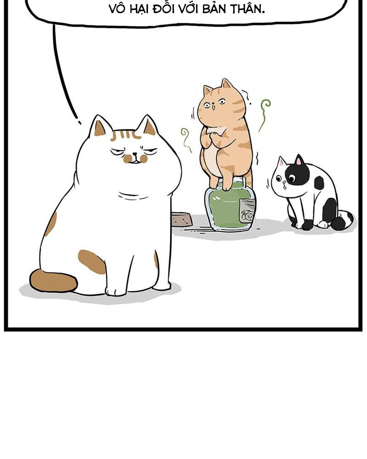 Hoàng Thượng và Ba Trát Hắc: Chapter 239