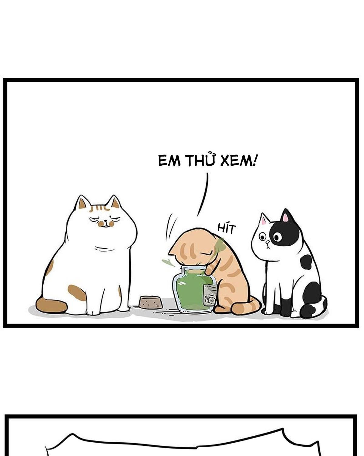 Hoàng Thượng và Ba Trát Hắc: Chapter 239