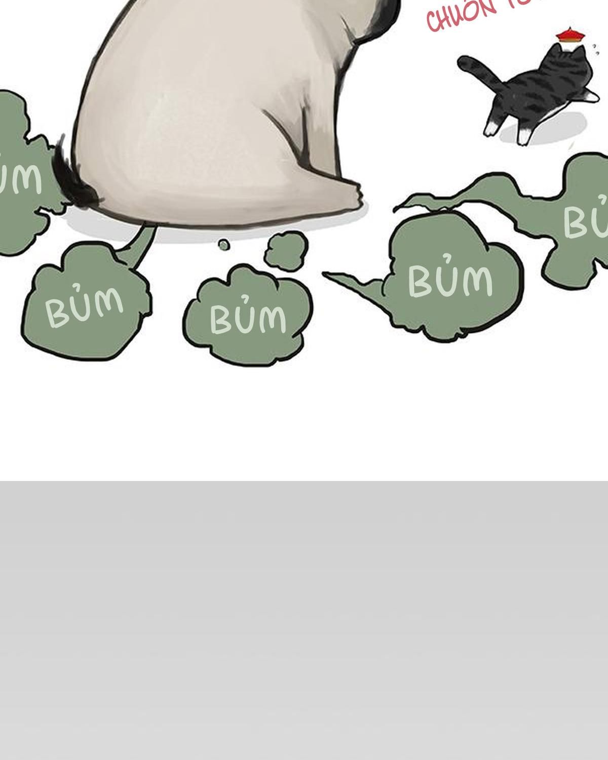 Hoàng Thượng và Ba Trát Hắc: Chapter 240