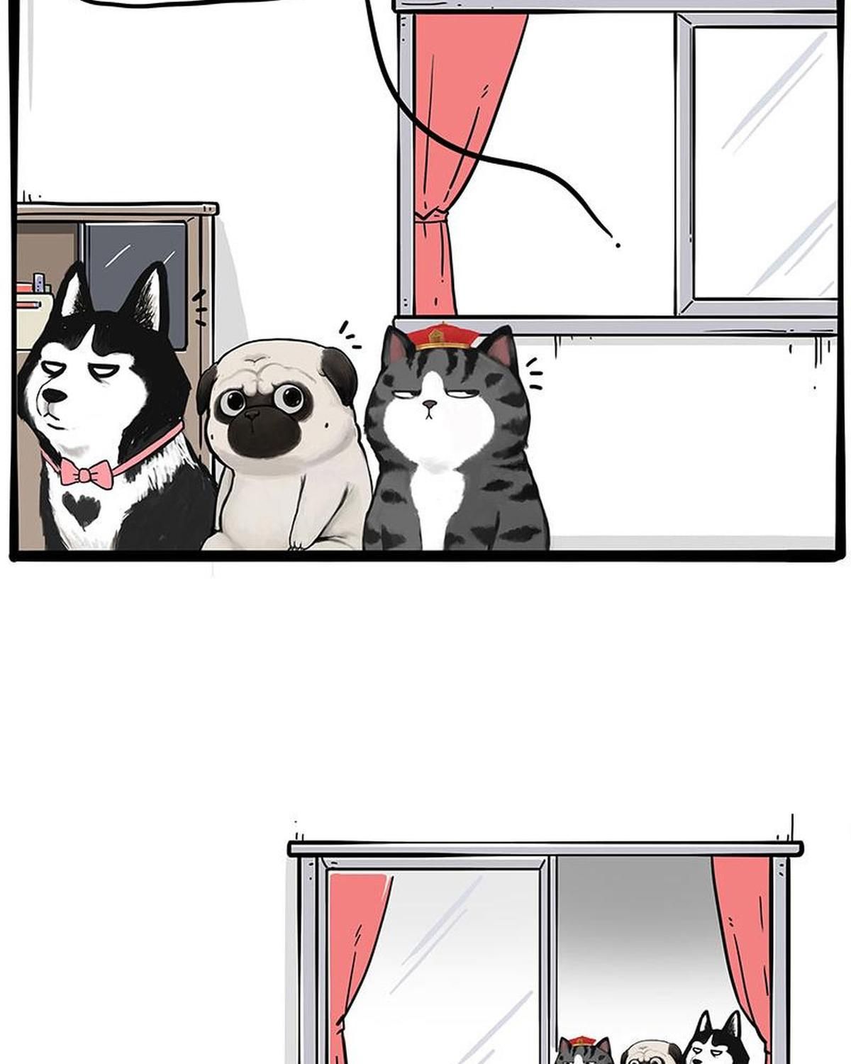 Hoàng Thượng và Ba Trát Hắc: Chapter 243