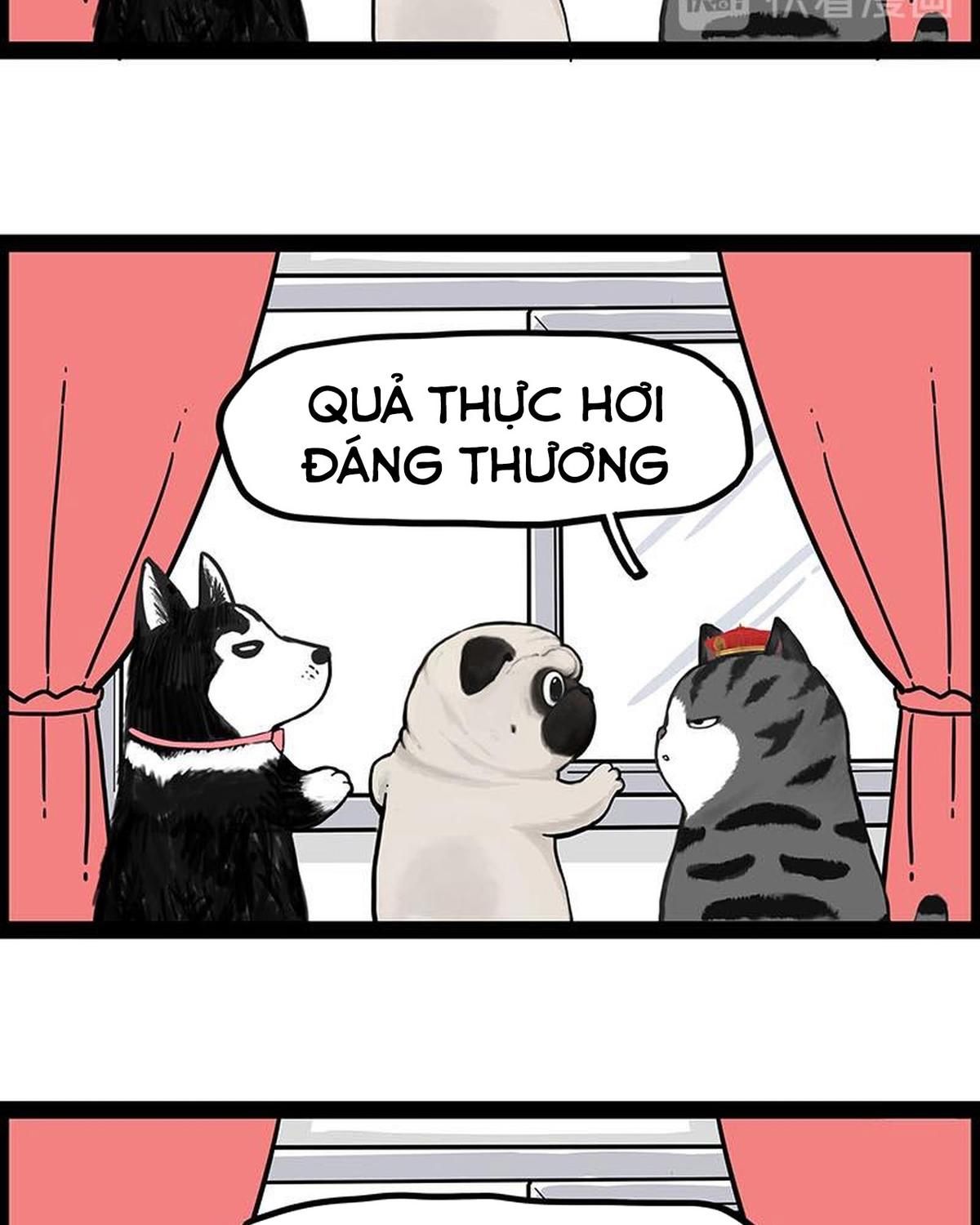 Hoàng Thượng và Ba Trát Hắc: Chapter 243