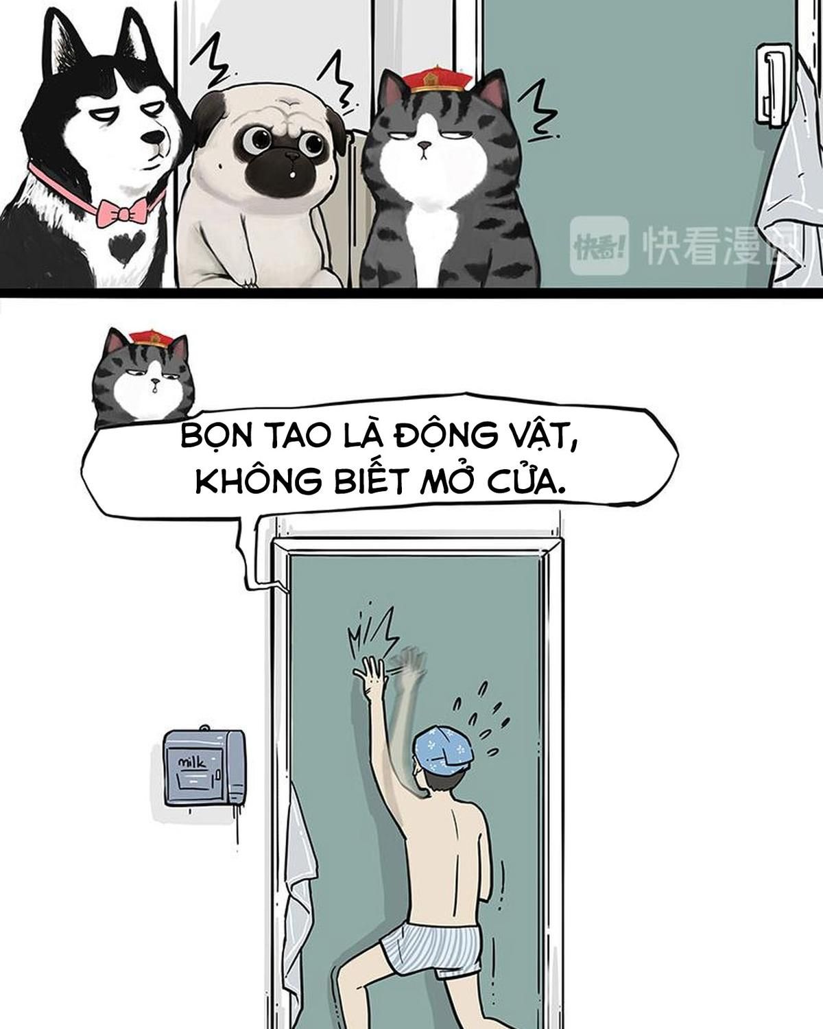 Hoàng Thượng và Ba Trát Hắc: Chapter 243