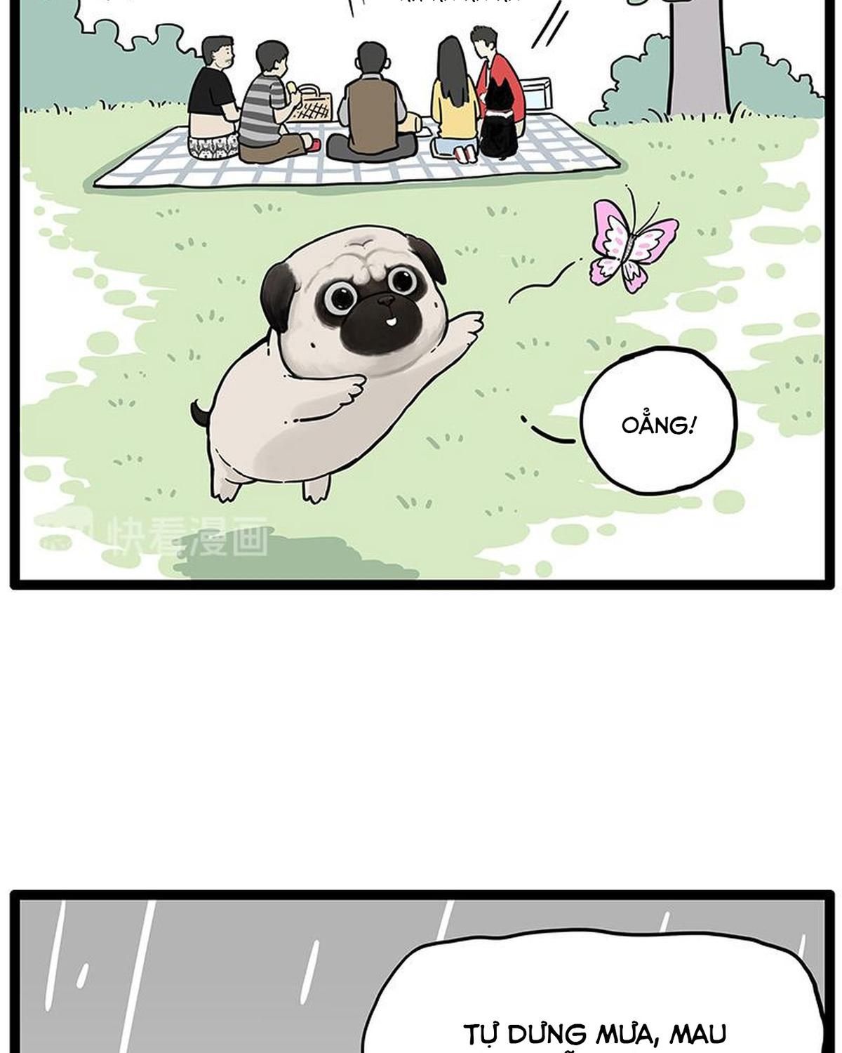 Hoàng Thượng và Ba Trát Hắc: Chapter 252