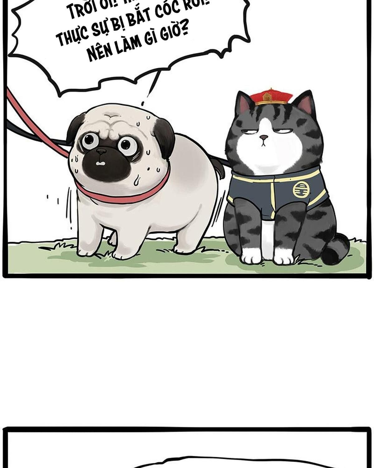 Hoàng Thượng và Ba Trát Hắc: Chapter 262