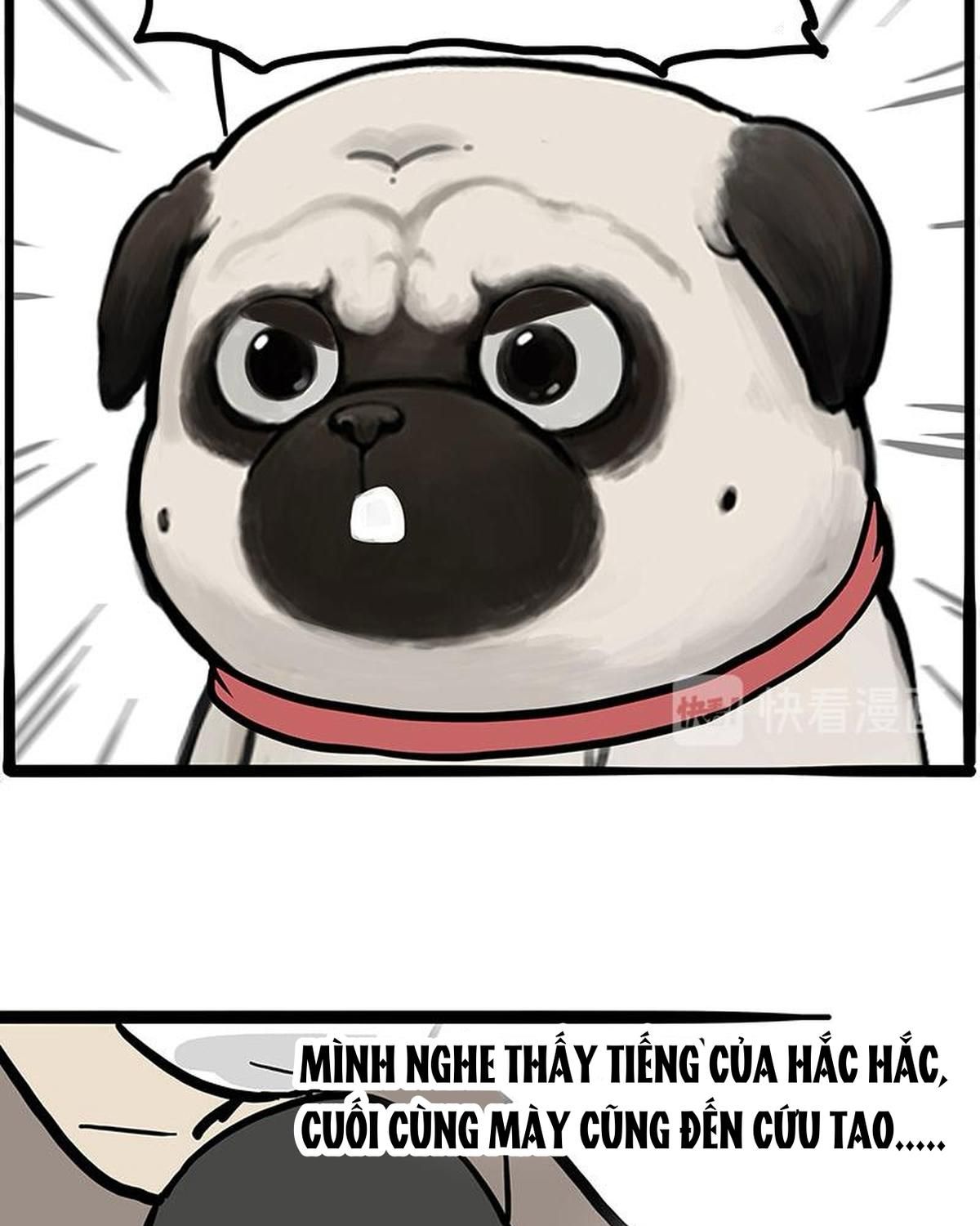 Hoàng Thượng và Ba Trát Hắc: Chapter 262