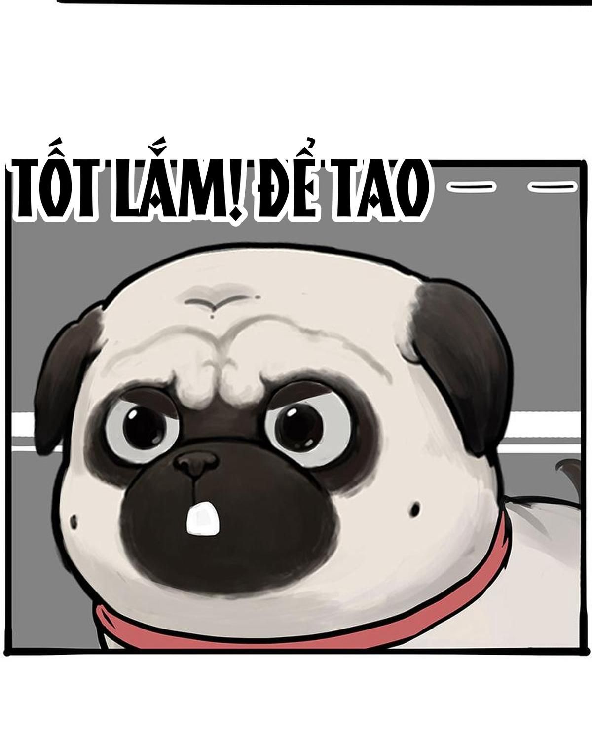 Hoàng Thượng và Ba Trát Hắc: Chapter 262