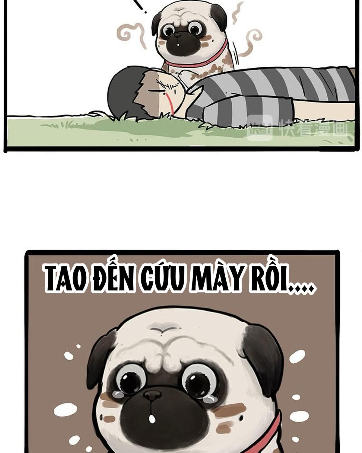 Hoàng Thượng và Ba Trát Hắc: Chapter 262