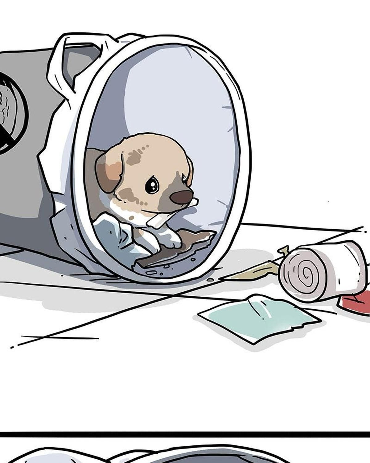 Hoàng Thượng và Ba Trát Hắc: Chapter 265