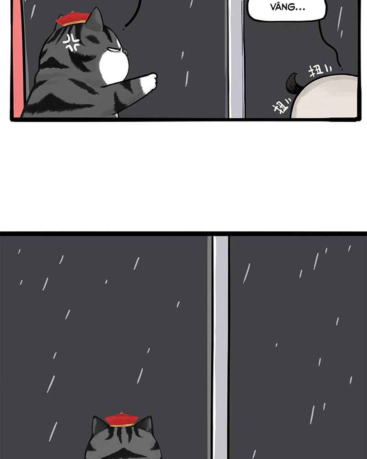 Hoàng Thượng và Ba Trát Hắc: Chapter 265