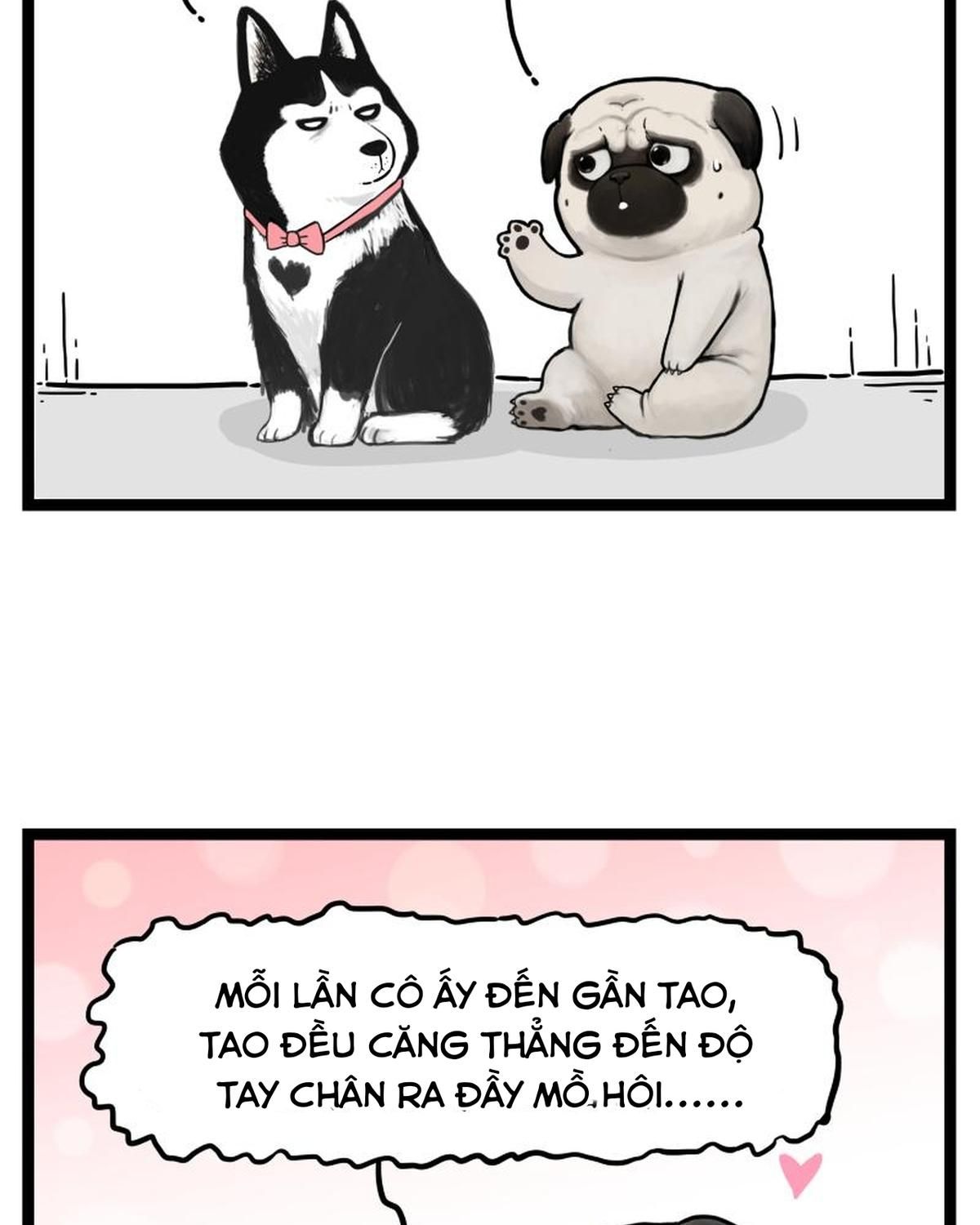 Hoàng Thượng và Ba Trát Hắc: Chapter 273