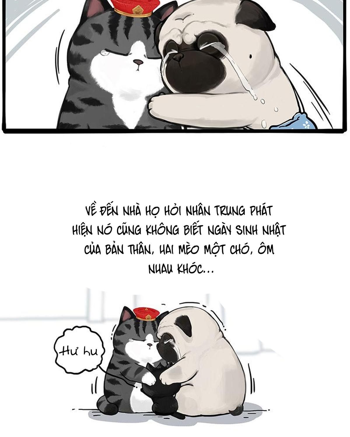 Hoàng Thượng và Ba Trát Hắc: Chapter 275