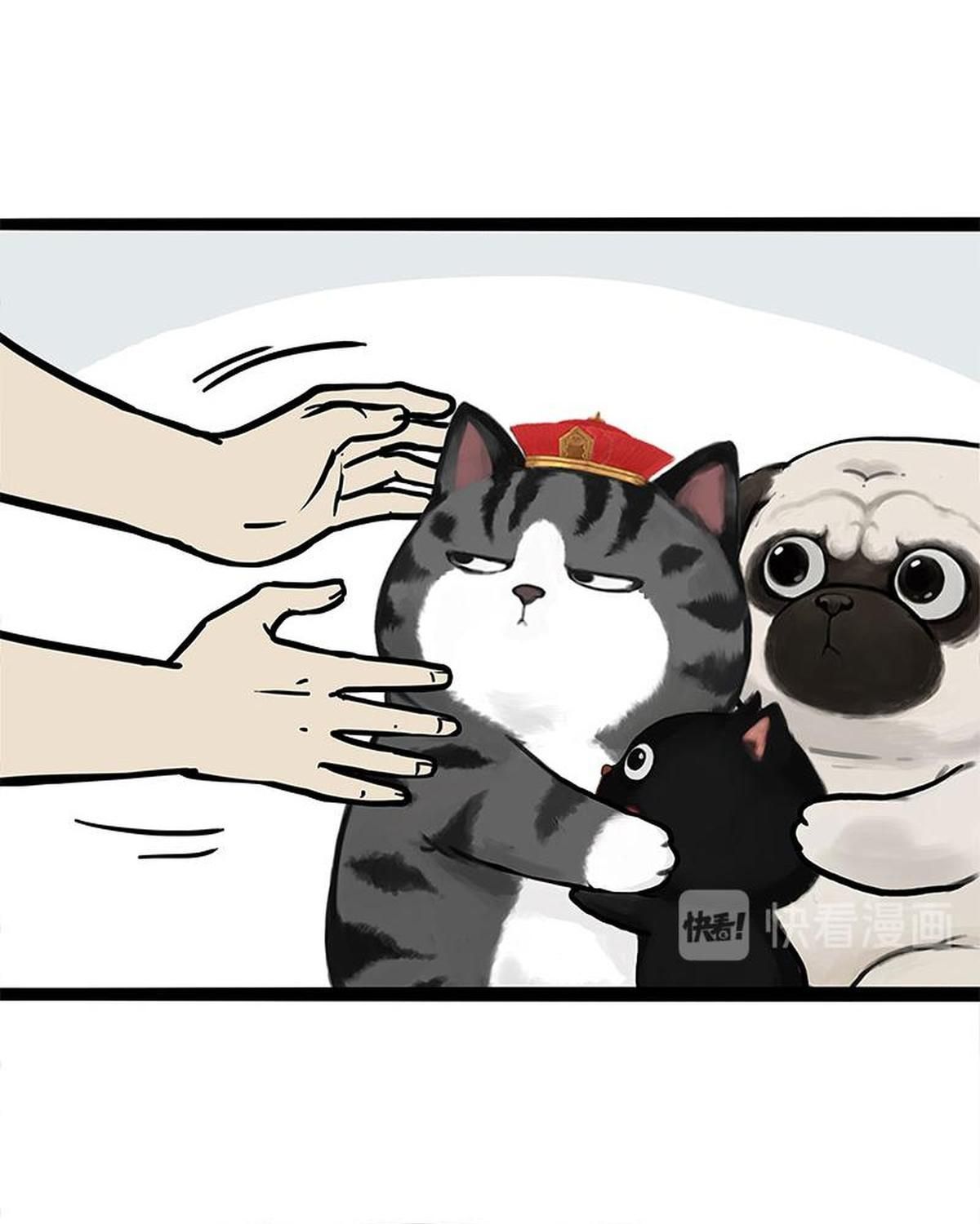 Hoàng Thượng và Ba Trát Hắc: Chapter 275