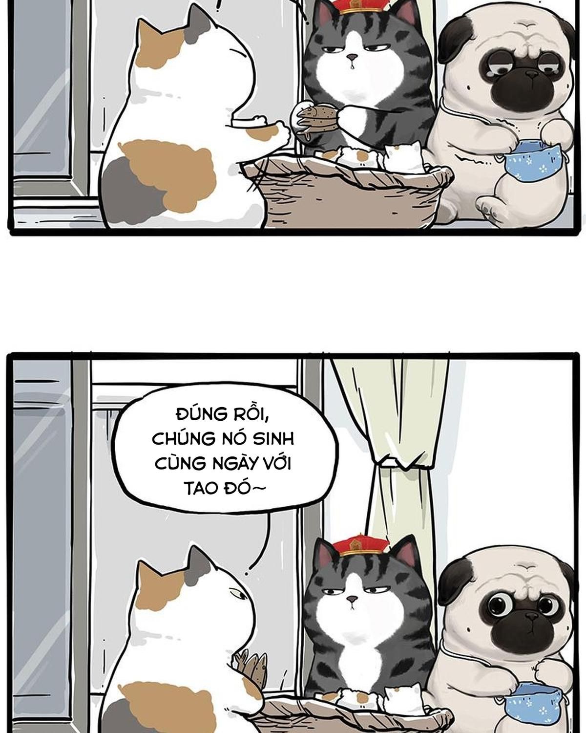 Hoàng Thượng và Ba Trát Hắc: Chapter 275