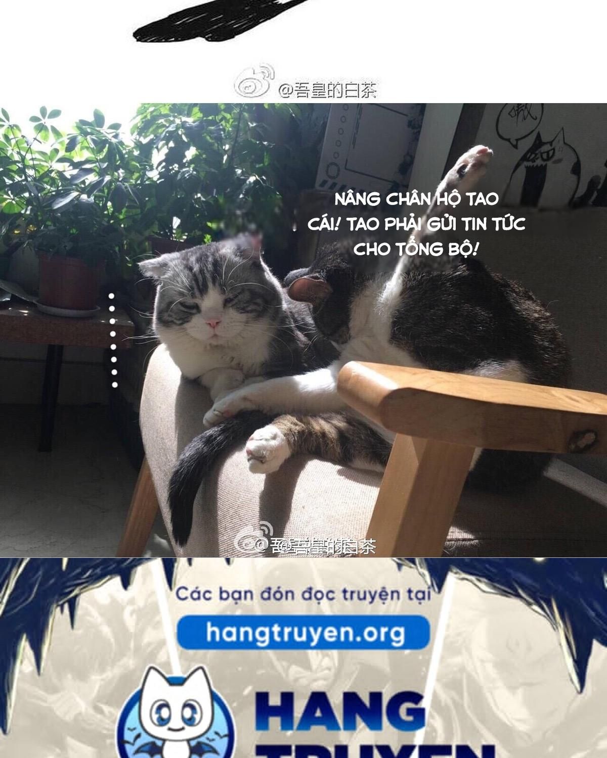 Hoàng Thượng và Ba Trát Hắc: Chapter 28