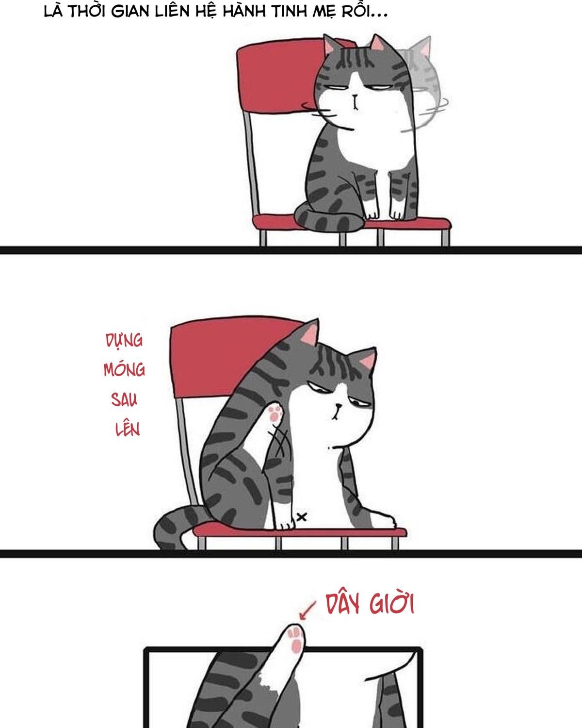 Hoàng Thượng và Ba Trát Hắc: Chapter 28