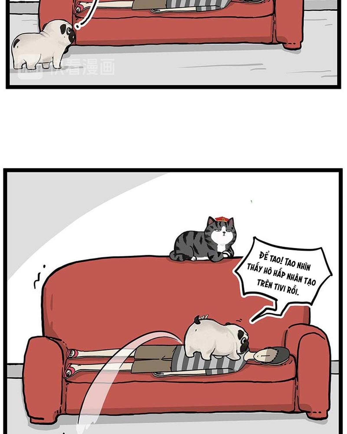 Hoàng Thượng và Ba Trát Hắc: Chapter 281