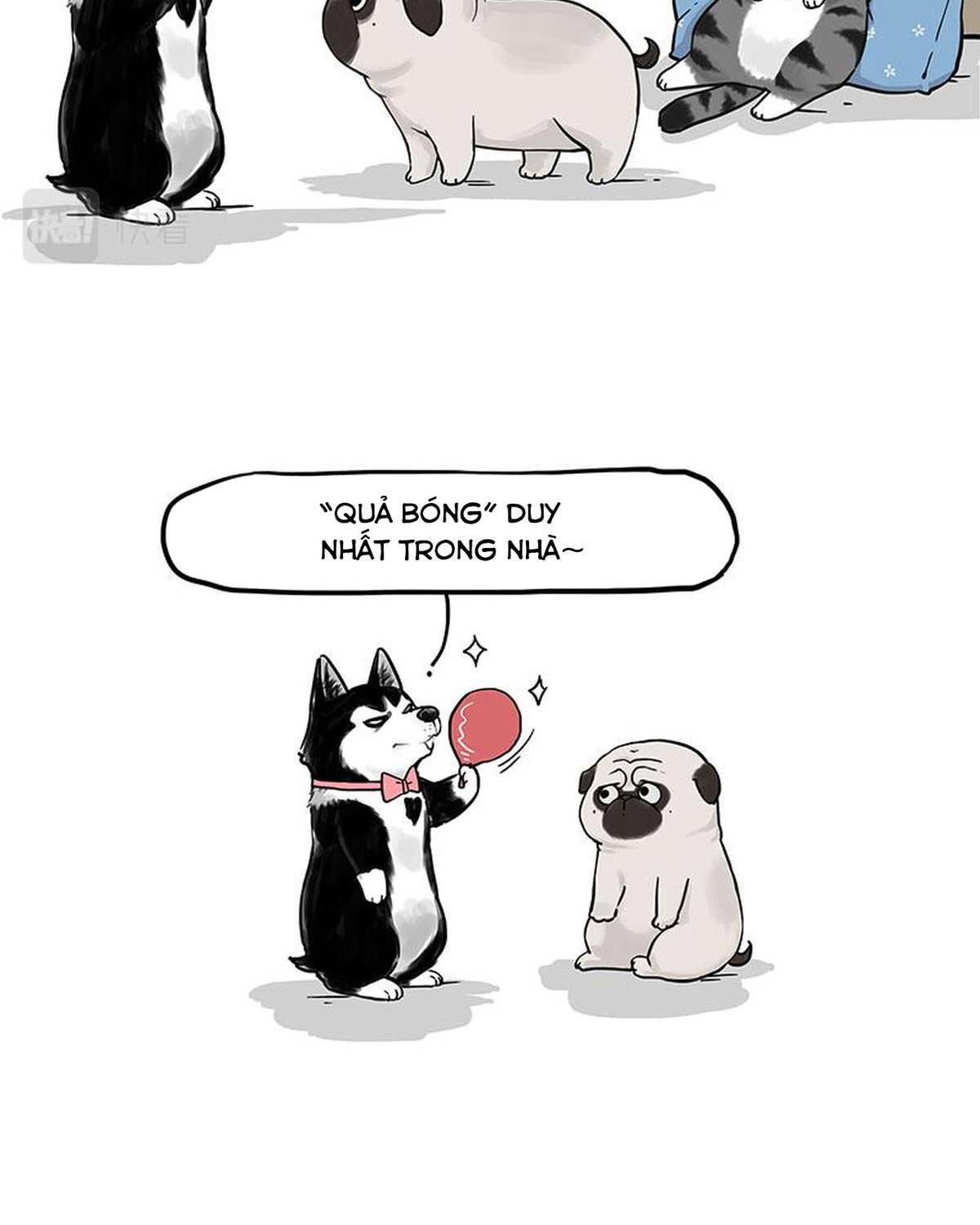 Hoàng Thượng và Ba Trát Hắc: Chapter 292