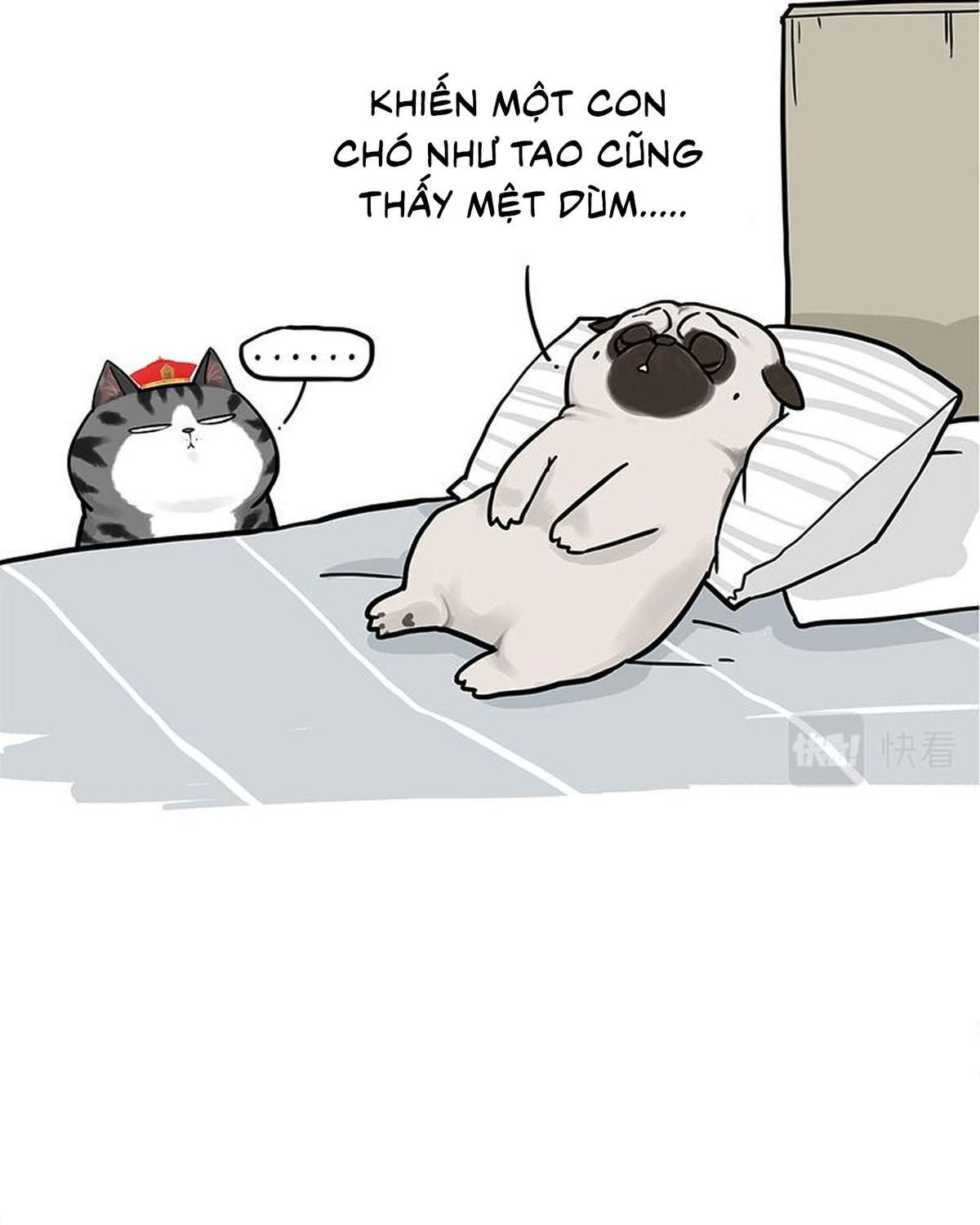 Hoàng Thượng và Ba Trát Hắc: Chapter 292