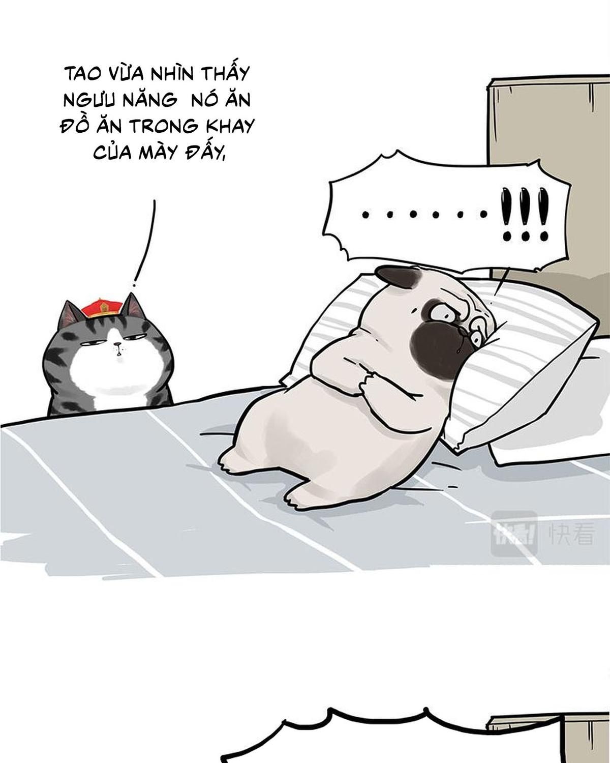 Hoàng Thượng và Ba Trát Hắc: Chapter 292