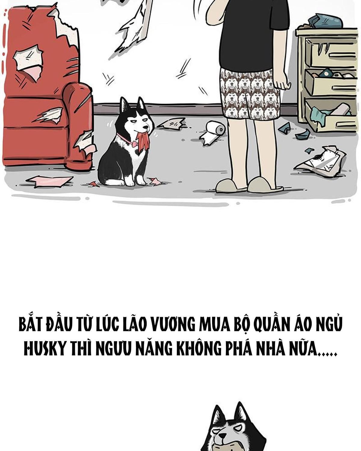 Hoàng Thượng và Ba Trát Hắc: Chapter 301