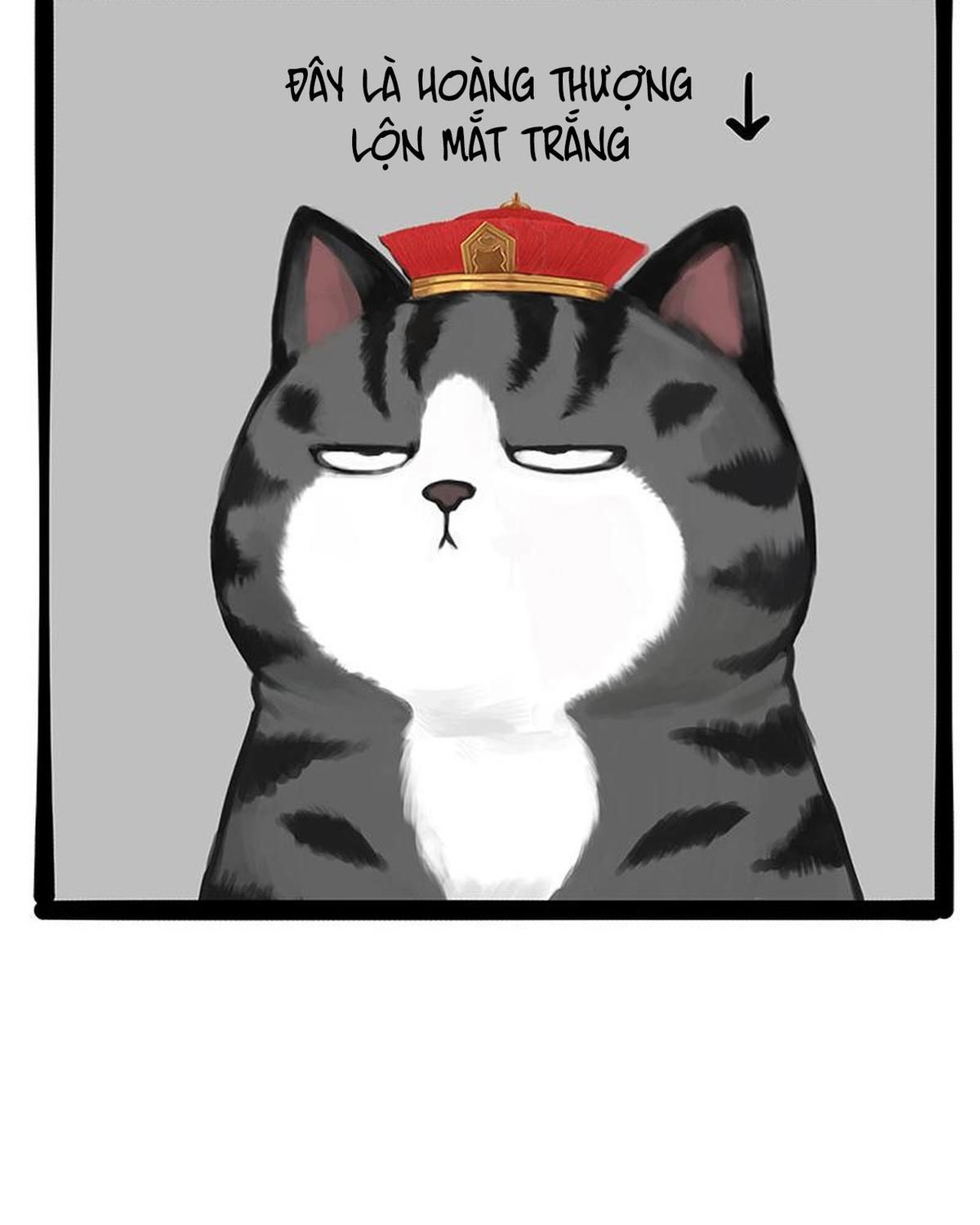 Hoàng Thượng và Ba Trát Hắc: Chapter 301