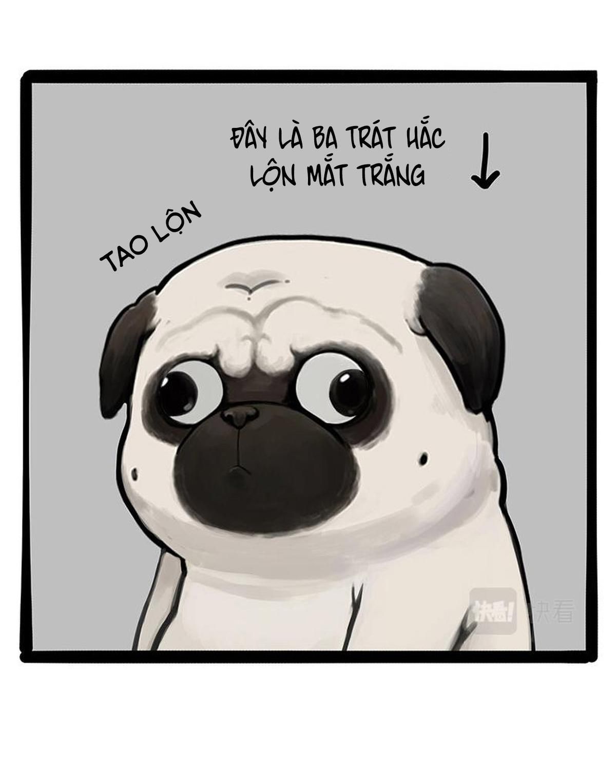 Hoàng Thượng và Ba Trát Hắc: Chapter 301