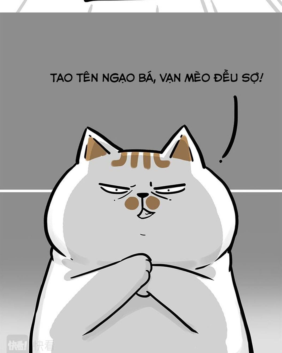 Hoàng Thượng và Ba Trát Hắc: Chapter 308