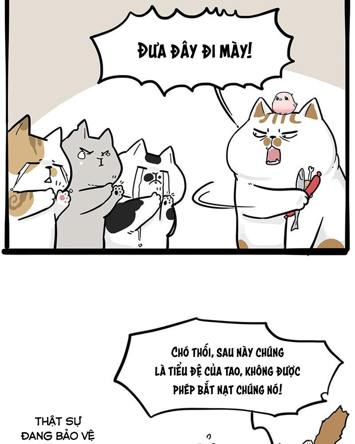 Hoàng Thượng và Ba Trát Hắc: Chapter 308