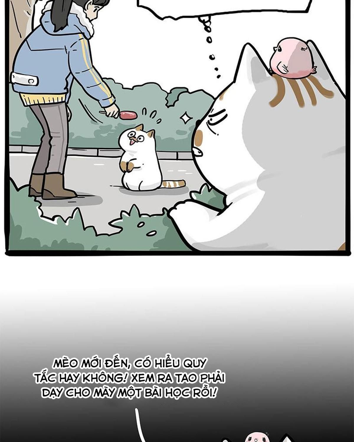 Hoàng Thượng và Ba Trát Hắc: Chapter 308