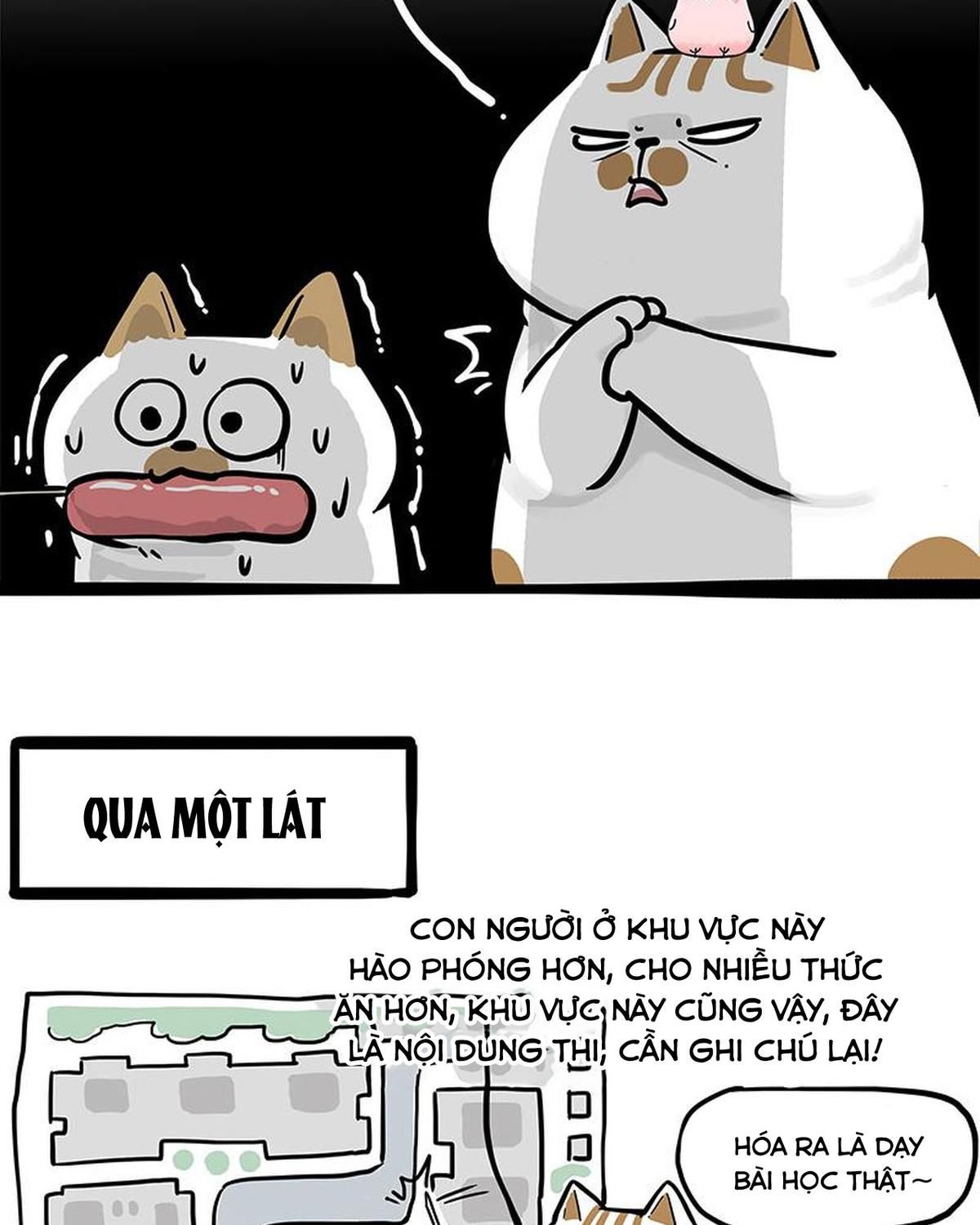 Hoàng Thượng và Ba Trát Hắc: Chapter 308